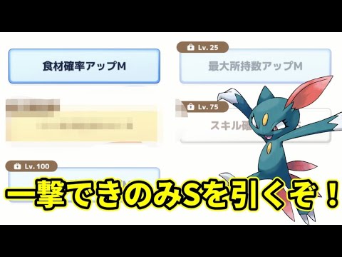 【ポケスリ】初のニューラゲット！一発できのみSを引きたい！【ポケモンスリープ】【POKEMON】