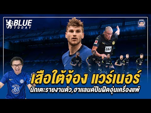 เสือใต้จ้องแวร์เนอร์,นักเตะชุด เสือใต้จ้องแวร์เนอร์,นักเตะชุด