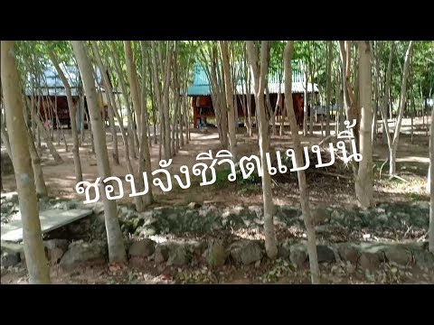 ชีวิตแบบนี้ที่เงียบสงบ ชีวิตแบบนี้ที่เงียบสงบ