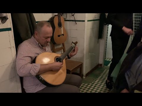 El Fado se reinventa sin perder su esencia