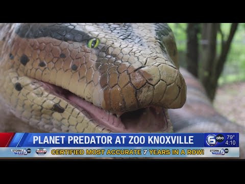 Planet Predator at Zoo Knoxville