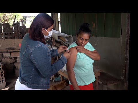 Continúan intensas jornadas de vacunación contra la Covi-19 en Mateare