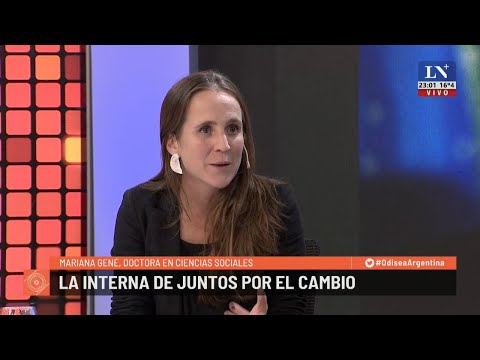 Mariana Gené, Dra. en Ciencias Sociales: Macri tiene afinidad con el discurso económico de Milei