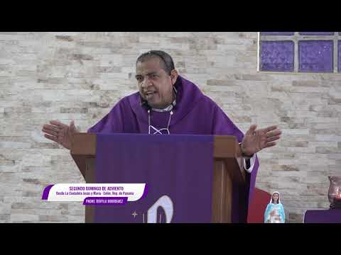 Homilía de la Eucaristía - Segundo Domingo de Adviento - Padre Teófilo Rodríguez