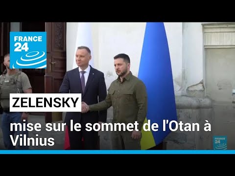 Zelensky mise sur le sommet de l'Otan à Vilnius • FRANCE 24