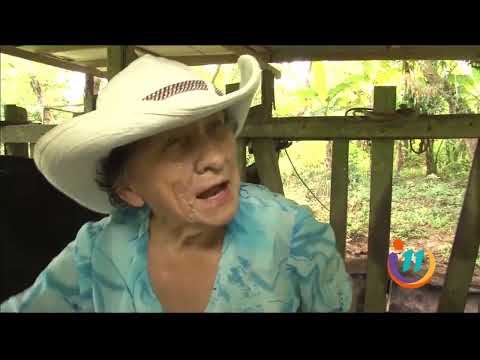 Doña Oliva no pierde la pasión por su trabajo a los 90 años