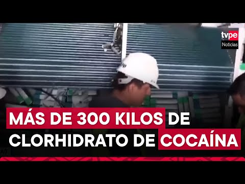 Callao: intentaron sacar droga en contenedores de palta
