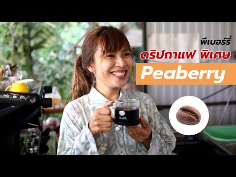 ดริปกาแฟพิเศษพีเบอรี่Peaberr