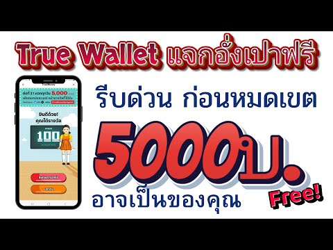 รับเงินเข้าWalletฟรี5000บ.