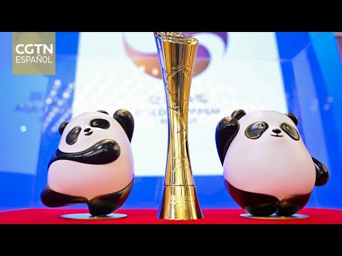 Premios Panda de Oro: Artistas chinos debaten el simbolismo del oso panda