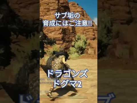 アーチャーはこうあるべきでしょう!?【ドラゴンズドグマ2】 #dd2 #dragonsdogma2 #ドラゴンズドグマ2#ドグマ2#ポーンバッジ#ポーン#幻術師#アーチャー