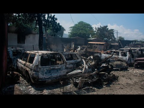 Haïti : des ressortissants français et étrangers évacués par l'armée française vers la Martinique