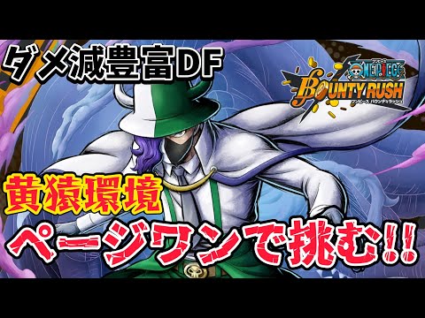 【豊富ダメ減】最大ダメカ量がかなり多い!!百獣海賊ページワン【バウンティラッシュ】