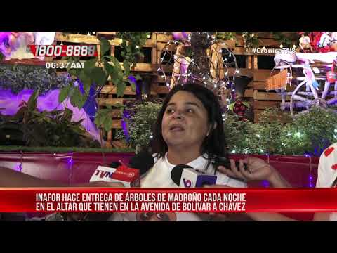 INAFOR entrega árboles de Madroño en altar dedicado a la Concepción de María - Nicaragua