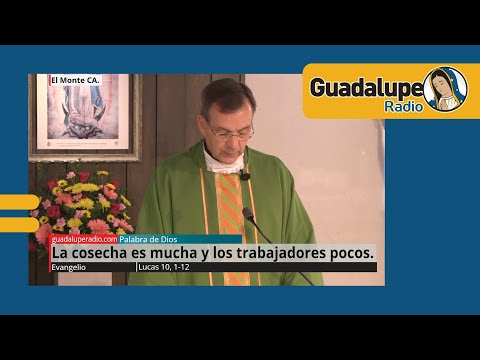 Evangelio de hoy 3/octubre/2024