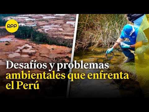 ¿Por qué persisten los problemas ambientales en el Perú?