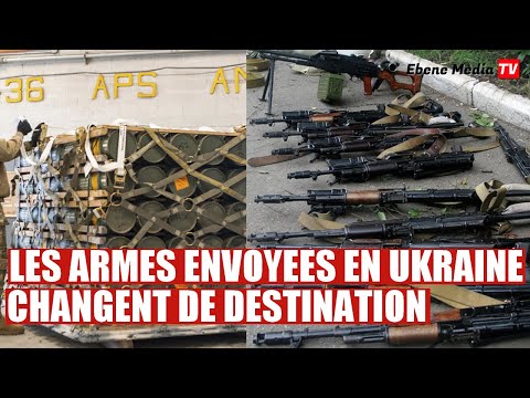 Révélation : Voici où vont les armes envoyées en Ukraine, selon Interpol