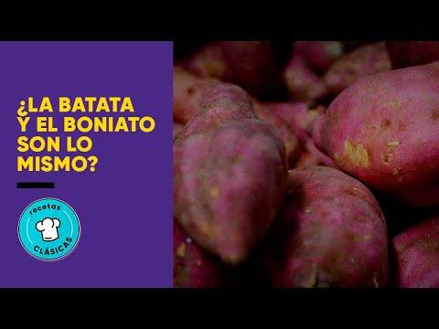 ¿Cuál es la diferencia entre la batata y el boniato - Cocina Telefe