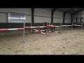 القفز بالفرس الصغير Ophelia (Grand Slam x Learn by Heart) - D-Pony Paard Gefokt