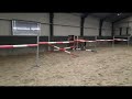 Springpony Ophelia (Grand Slam x Learn by Heart) - D-Pony Paard Gefokt