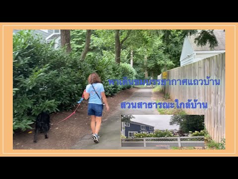 life-in-USA:-พาเดินไปสวนสาธารณ life-in-USA:-พาเดินไปสวนสาธารณ