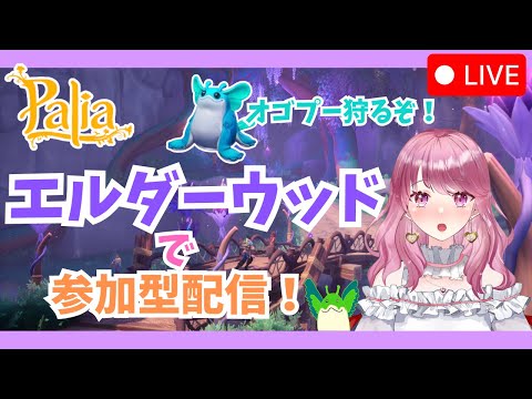 【Palia】オゴプー狩りじゃぁっっっ！🏹（第117回パリアライブ配信）【パリア】【ライブ配信】