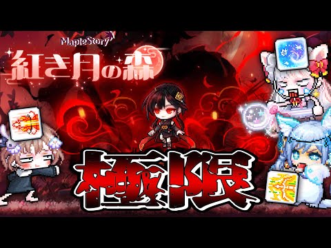 紅き月の森　極限クリア　槍視点【メイプルストーリー】