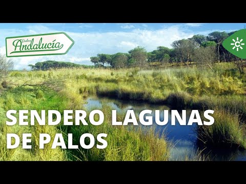Destino Andalucía | Sendero Lagunas de Palos, Huelva