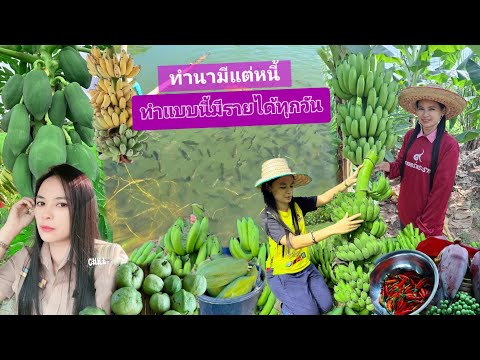 2ปีมีทุกอย่าง🧑‍🌾เริ่มต้นจากทุน