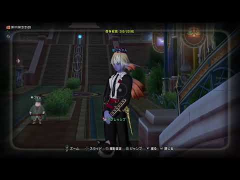 ドラクエ１０　　雑談・バトル・バトル中でもコメントきにせず