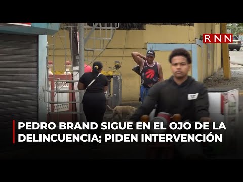 Pedro Brand sigue en el blanco de la delincuencia; piden intervención