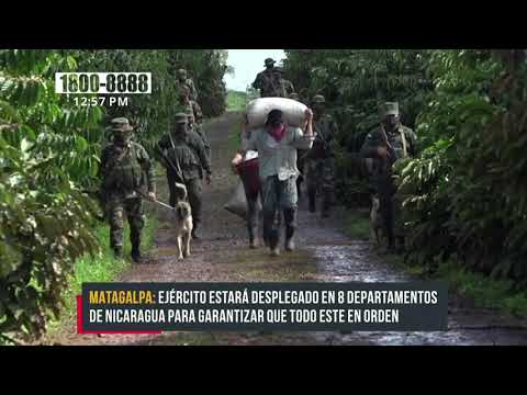 Ejército y policía brindaran seguridad a la cosecha cafetalera - Nicaragua