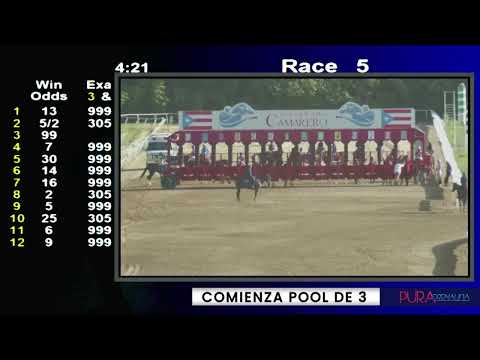 Hipódromo Camarero Live Stream