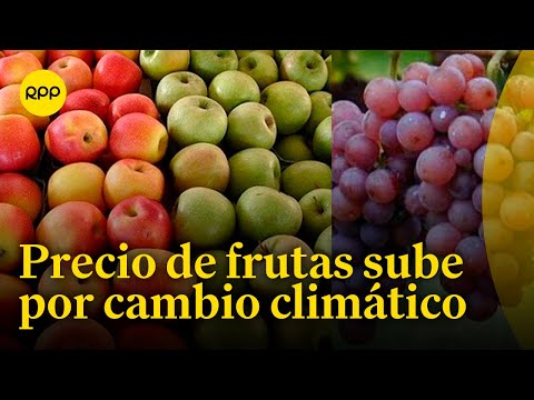 Comerciantes de fruta se ven afectados por cambio climático