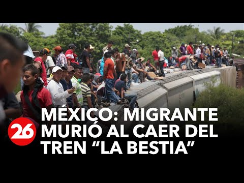 México | Un migrante murió al caer de un vagón de “La Bestia”