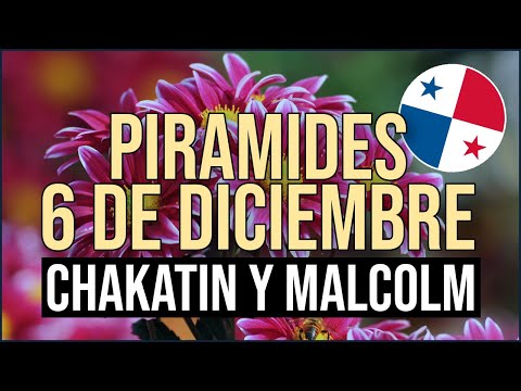 Pirámide Lotería de Panamá Miércoles 6 de Diciembre 2023  Pirámide de Chakatin y Malcolm Ramos