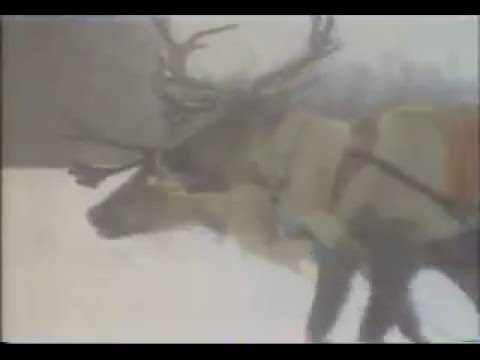 Chuck Berry Run Rudolph Run