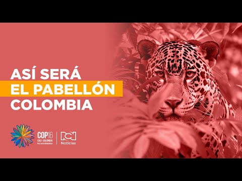 En video: así será el pabellón Colombia de la COP16