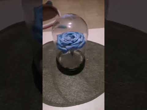 création d'une rose sous cloche🌹🌹