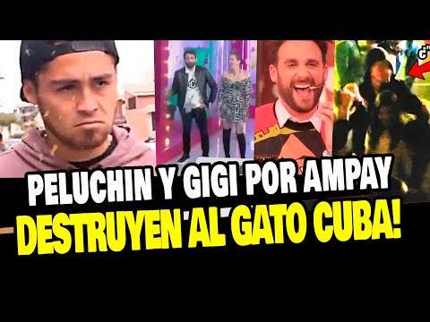 PELUCHIN Y GIGI DESTRUYEN AL GATO CUBA TRAS AMPAY CON OTRA MUJER EN DISCOTECA