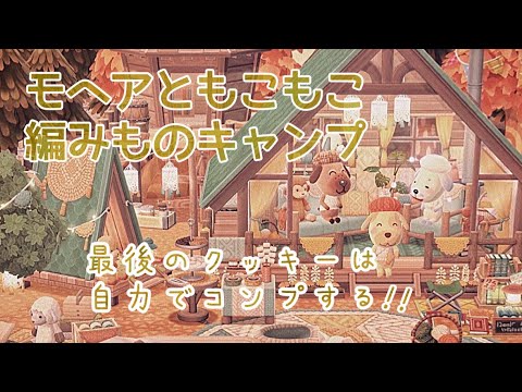 ポケ森 新クッキー モヘアともこもこ編みものキャンプをコンプ目指して食べてキャンプ場レイアウトしました！