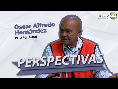 #Perspetivas | Óscar Alfredo Hernández, El Señor Árbol.