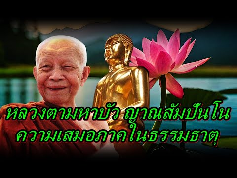 หลวงตามหาบัวญาณสัมปันโนความเ