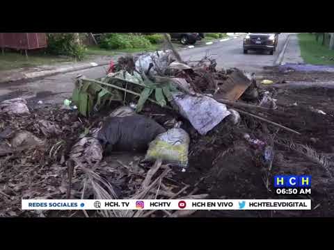 Solo daños, dejan dos accidentes de tránsito en San Pedro Sula