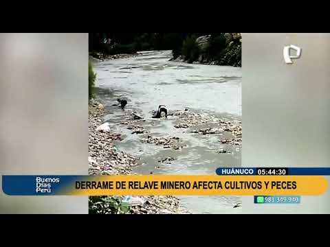 Derrame de relave minero afecta cultivos y peces en Huánuco