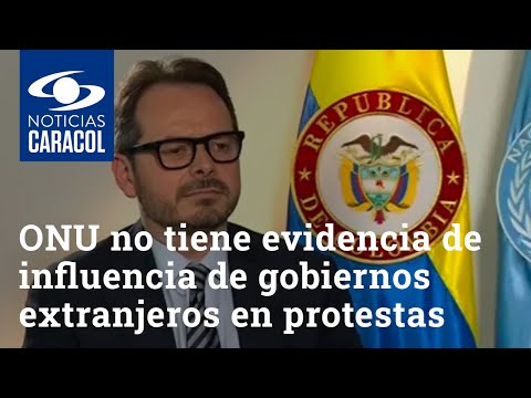 ONU no tiene evidencia de influencia de gobiernos extranjeros en protestas: delegado en Colombia