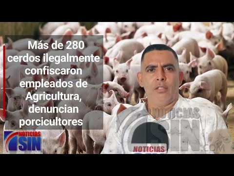 Productores de cerdos denuncian confiscación supuestamente ilegal