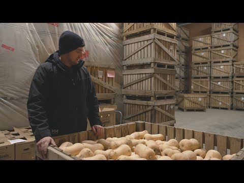 Les maraîchers face à la tourmente climatique | La semaine verte