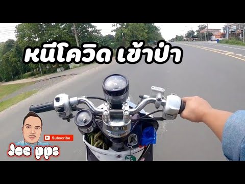 เข้าป่ากันเถอะ เข้าป่ากันเถอะ