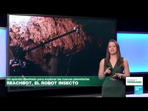 Así es el 'robot insecto' que exploraría las cuevas de la luna y Marte • FRANCE 24 Español